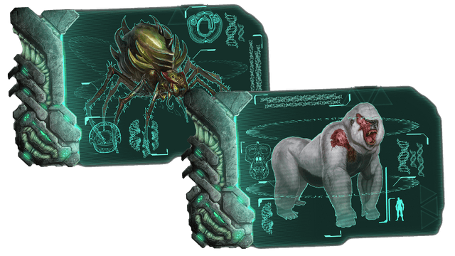 The Center Arena (The Center) Gamma Item Required