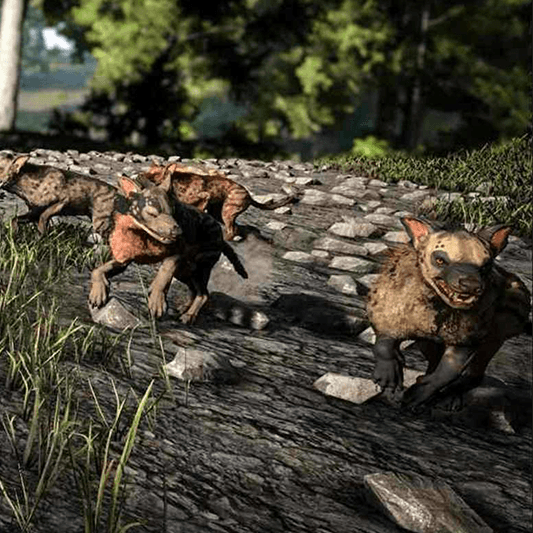 Hyaenodon